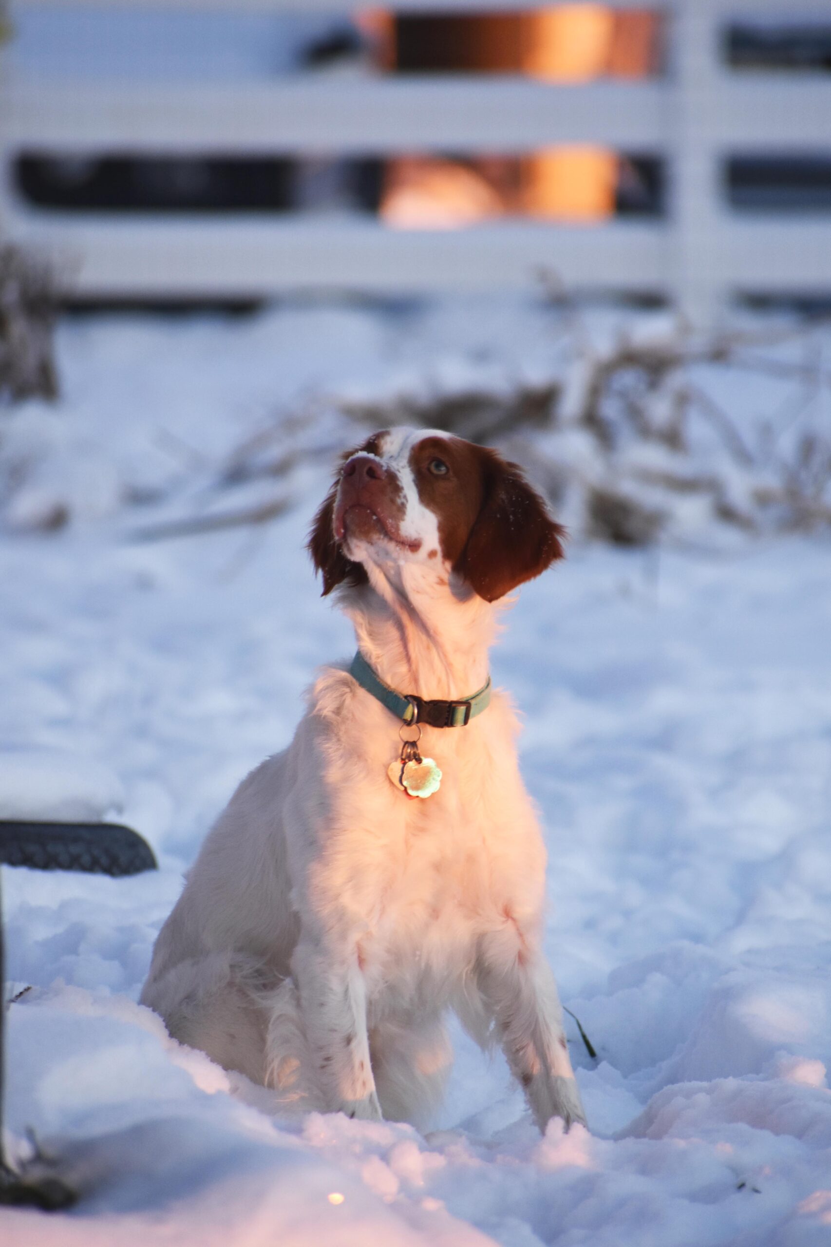 First Snow