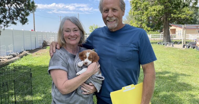 STORMY/GUNNER LITTER JULY 2023 – EIGHT WEEK PHOTOS